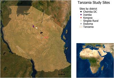 Strategies to Upgrade Animal Health Delivery in Village Poultry Systems: Perspectives of Stakeholders From Northern Ghana and Central Zones in Tanzania